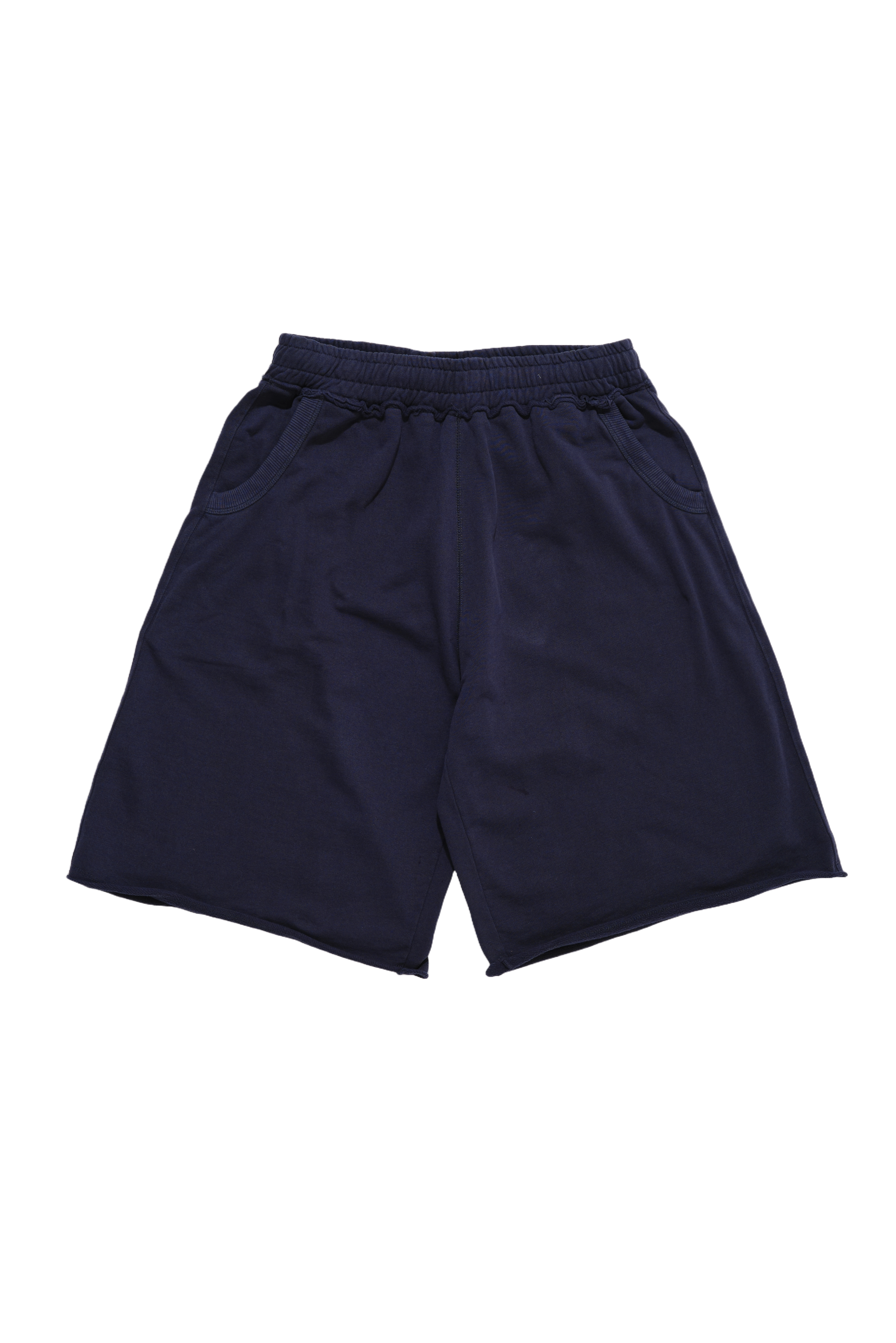 Navy Monster Shorts