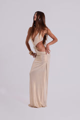 Vida Backless Maxi Dress in Gold