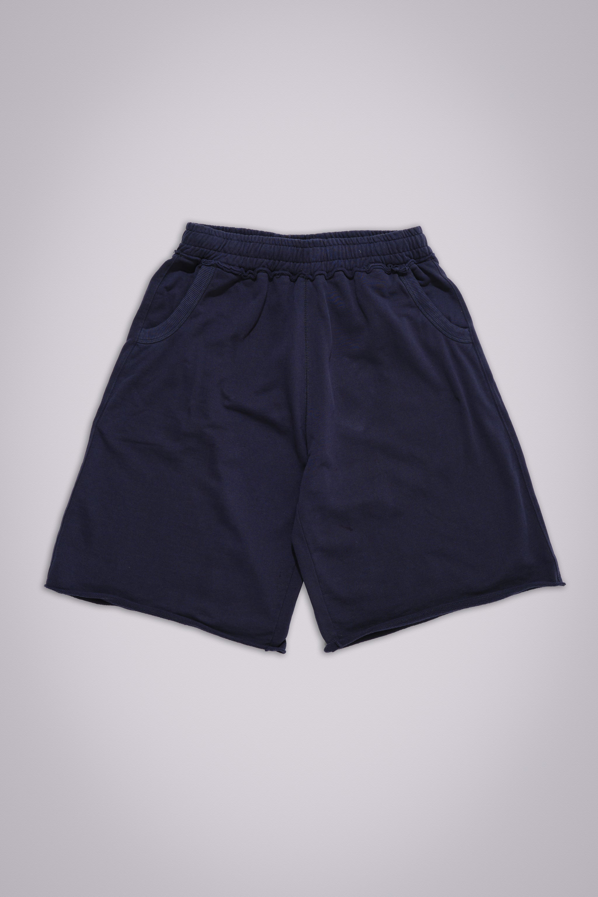 Navy Monster Shorts